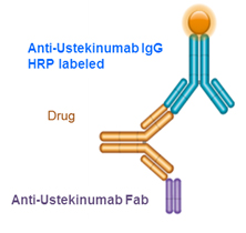 Pharmacokinetic Pharmacokinetic