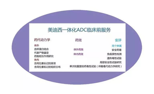 世界杯官网一体化ADC临床前服务