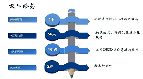 世界杯官网吸入给药安全性评价服务