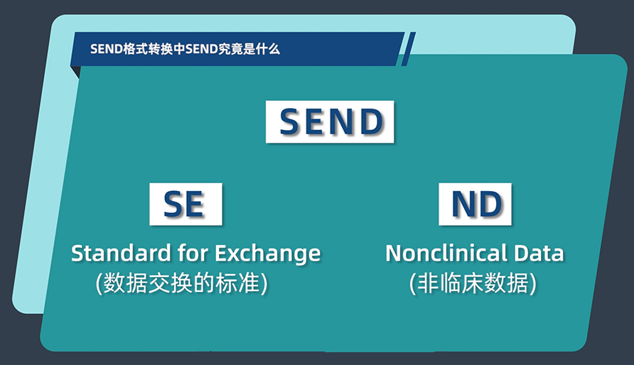 SEND格式转换中的SEND究竟是什么?