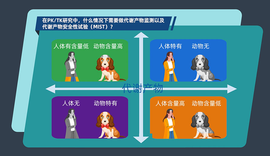 在PK-TK研究中,什么情况下需要做代谢产物监测以及代谢产物安全性试验(MIST)