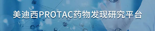 世界杯官网PROTAC药物发现研究平台.png