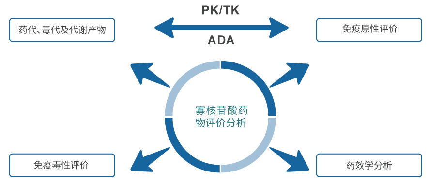 寡核苷酸药物评价分析.jpg 寡核苷酸药物评价分析.jpg