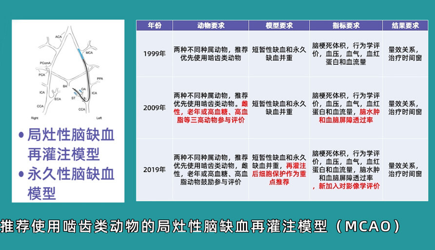 袁云云博士:啮齿类动物脑卒中疾病药效成药性评价系统(2).jpg 袁云云博士:啮齿类动物脑卒中疾病药效成药性评价系统(2).jpg