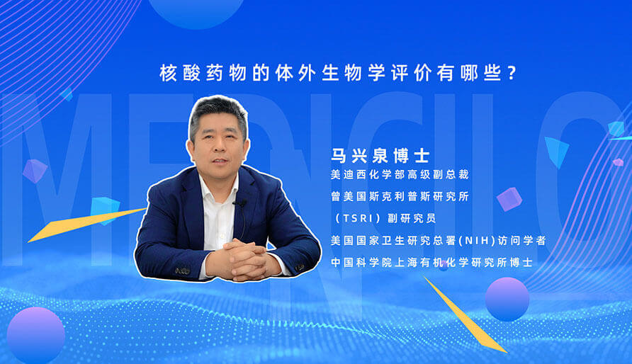 核酸药物的体外生物学评价有哪些?