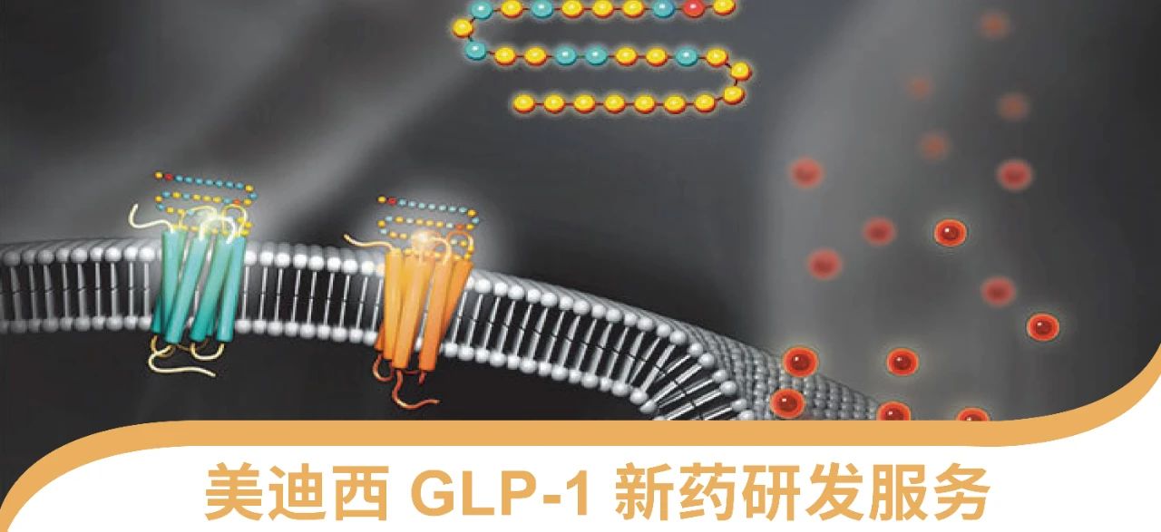 世界杯官网一站式 丨 “GLP-1”新药研发服务能力介绍