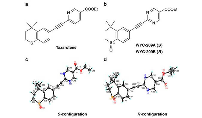 WYC-209可抑制恶性小鼠黑色素瘤肿瘤再生细胞增殖，本研究中SPR通过世界杯官网使用Biacore 8K进行