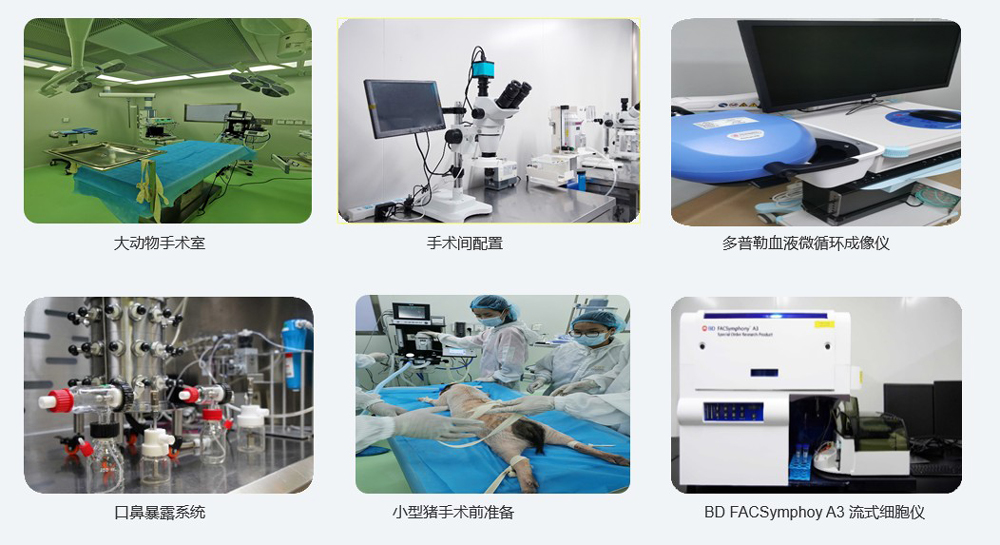 大动物实验仪器设备.jpg 大动物实验仪器设备.jpg