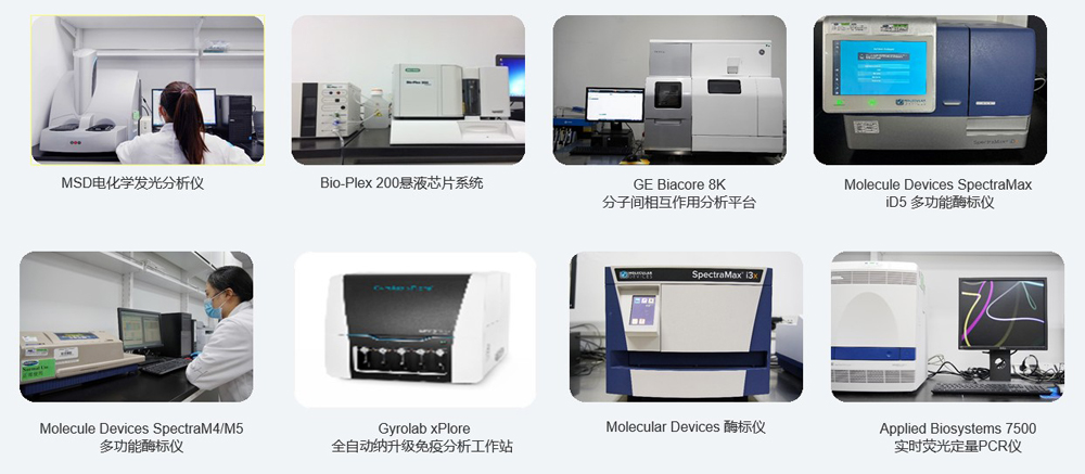 大动物药效实验分析设备.jpg 大动物药效实验分析设备.jpg