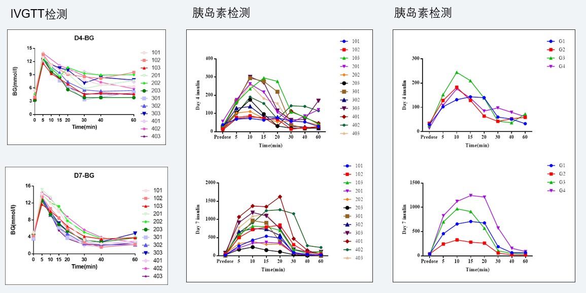 案例4:食蟹猴IVGTT和胰岛素检测实验.jpg 案例4:食蟹猴IVGTT和胰岛素检测实验.jpg