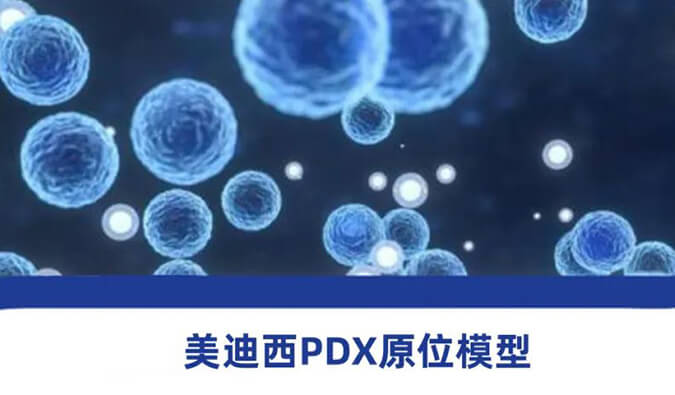 世界杯官网PDX模型.jpg