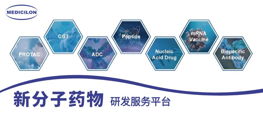 世界杯官网新分子药物研发服务平台 世界杯官网新分子药物研发服务平台