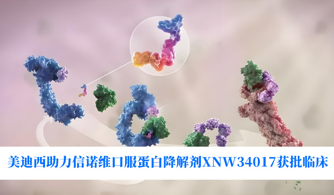 世界杯官网助力合作伙伴信诺维口服蛋白降解剂XNW34017获批临床